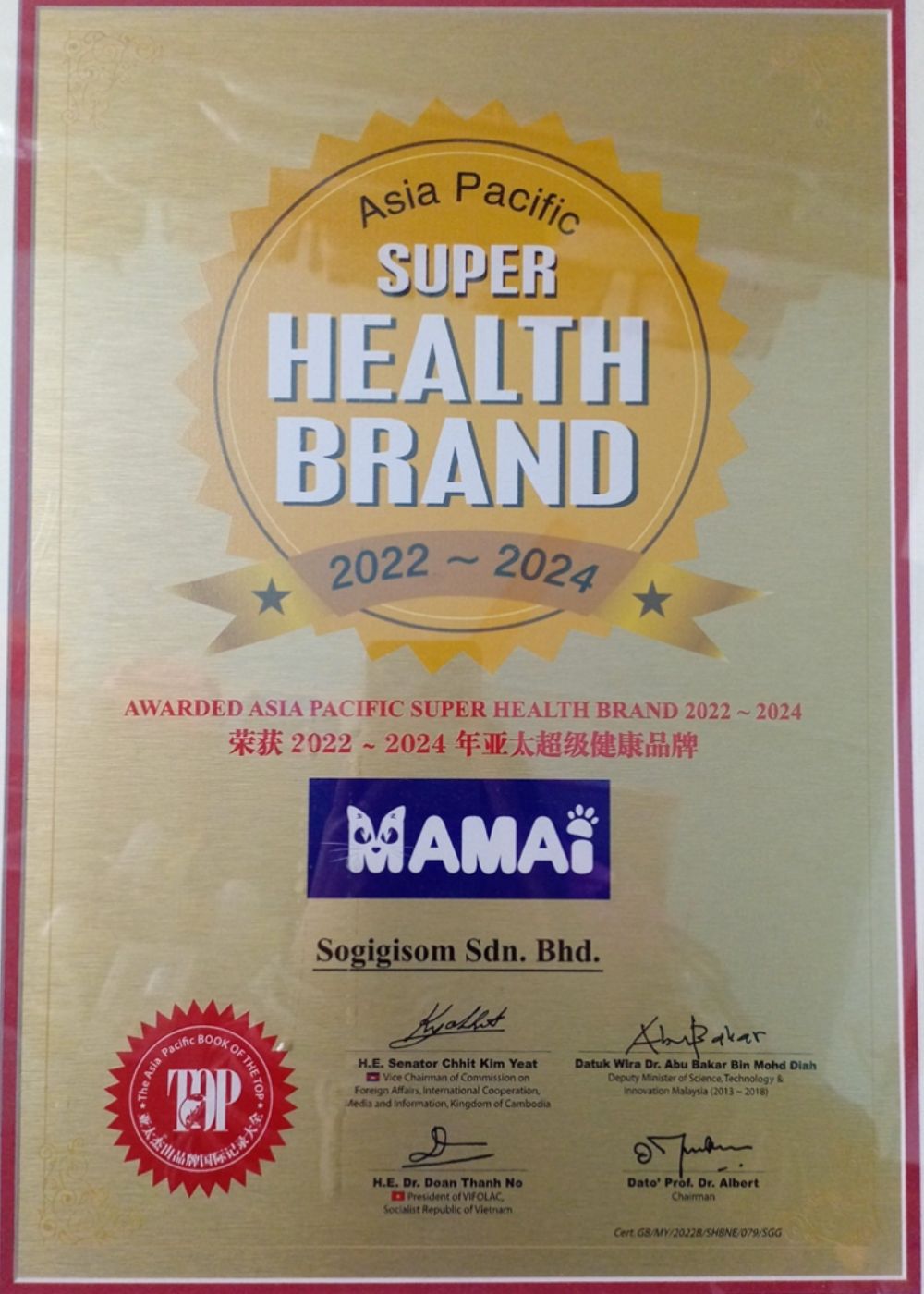 Mamai award certificate 1